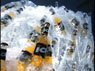 Budweiser - Ice